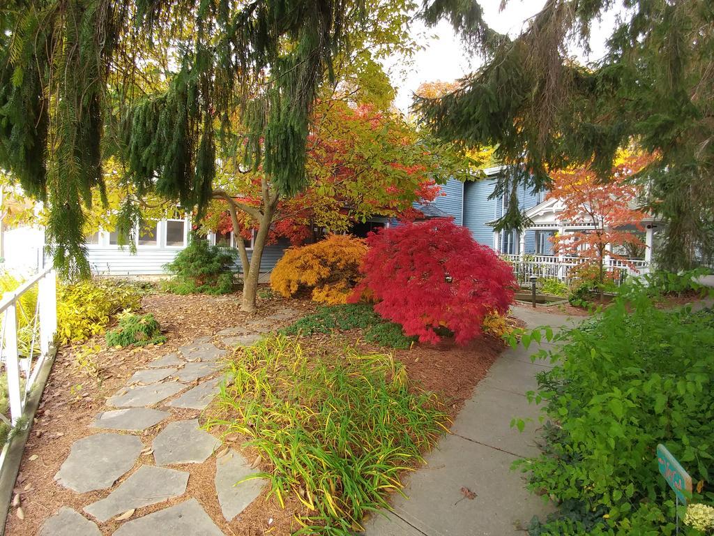 Kettle Creek Inn ポート・スタンリー エクステリア 写真